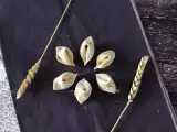 रेसिपी घर पर पास्ता कैसे बनाएं: सोर्प्रेसिन, सुंदर छोटे पास्ता