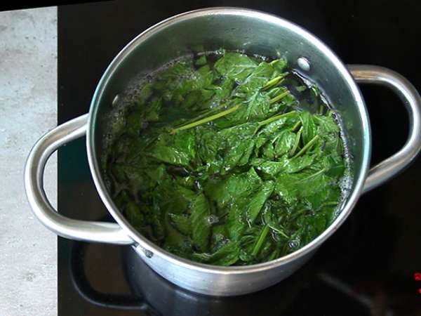 घर का बना पुदीना सिरप - तैयारी चरण 2