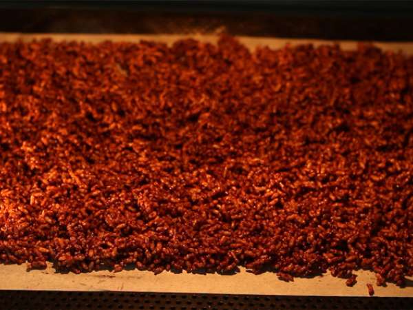 चॉकलेट के चिउड़े के चावल। कोको पॉप्स - तैयारी चरण 5