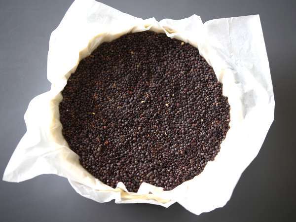 कद्दू की कीच, एक सरल और प्रभावी भोजन के लिए - तैयारी चरण 1