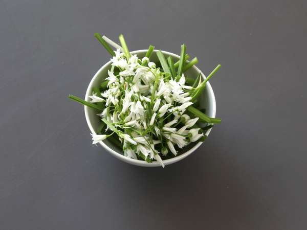 बियर गार्लिक पेस्टो, सुगंधित और सुपर स्वादिष्ट! - तैयारी चरण 1