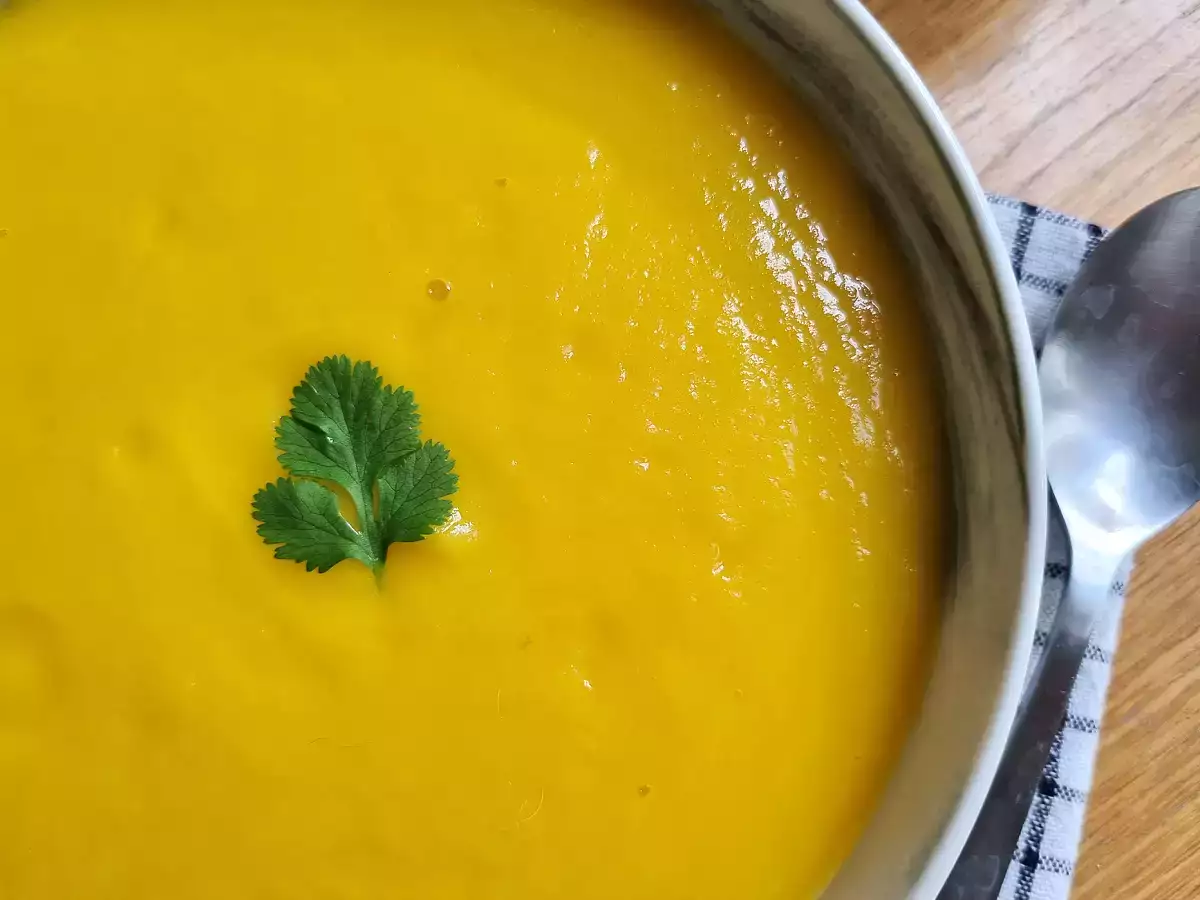 थर्मोमिक्स में सब्जियों का सूप - फोटो 3
